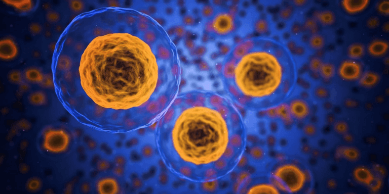 Aucun Cas de « Mpox » Détecté en Arabie Saoudite Jusqu&rsquo;à Présent